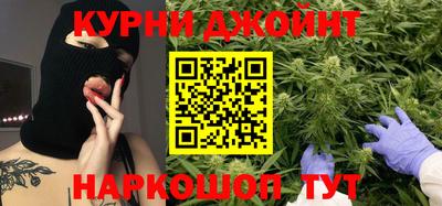 шишки Гатчина