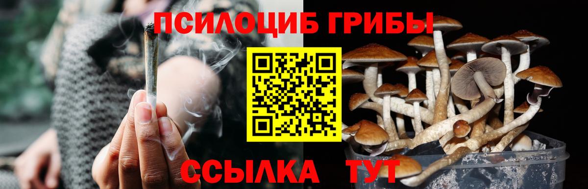 Мичуринск  Псилоцибиновые грибы Psilocybine cubensis  Вход с VPN  Псилоцибиновые грибы мухоморы 